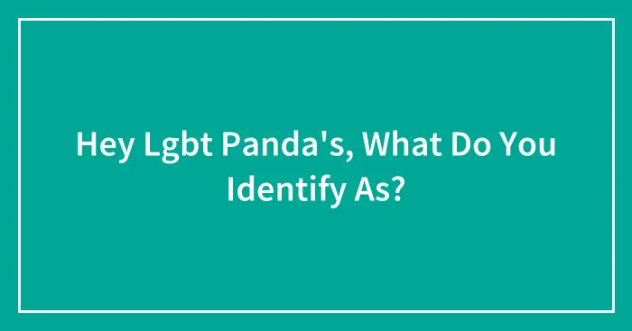 Hey Lgbt Panda's, What Do You Identify As?