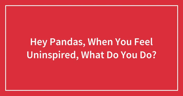 Hey Pandas, When You Feel Uninspired, What Do You Do?