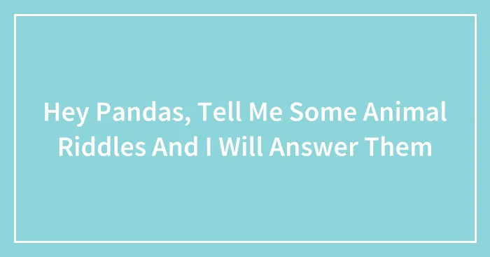 Hey Pandas, Tell Me Some Animal Riddles And I Will Answer Them