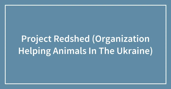 Project Redshed (Organization Helping Animals In The Ukraine)