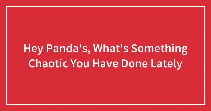 Hey Pandas, What's Something Chaotic You Have Done Lately? (Closed)