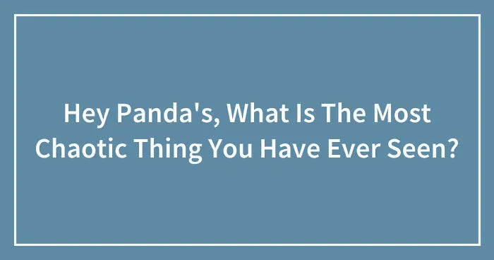 Hey Panda's, What Is The Most Chaotic Thing You Have Ever Seen? (Closed)