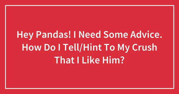 Hey Pandas! I Need Some Advice. How Do I Tell/Hint To My Crush That I Like Him? (Closed)