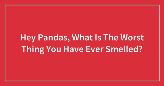 Hey Pandas, What Is The Worst Thing You Have Ever Smelled?