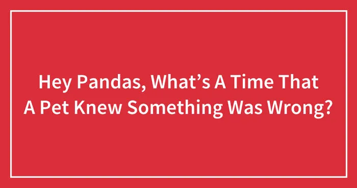 Hey Pandas, What’s A Time That A Pet Knew Something Was Wrong? (Closed)