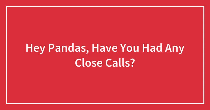 Hey Pandas, Have You Had Any Close Calls? (Closed)