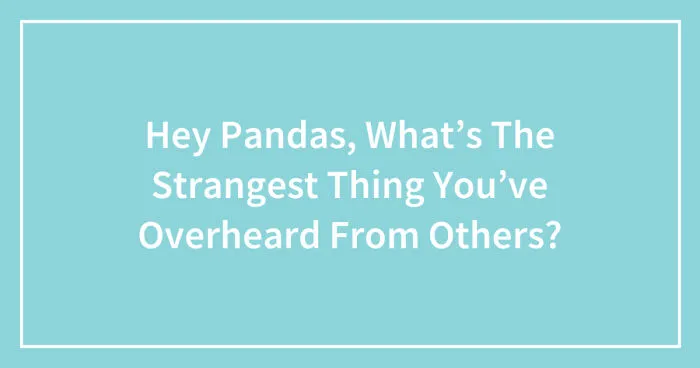 Hey Pandas, What’s The Strangest Thing You’ve Overheard From Others? (Closed)