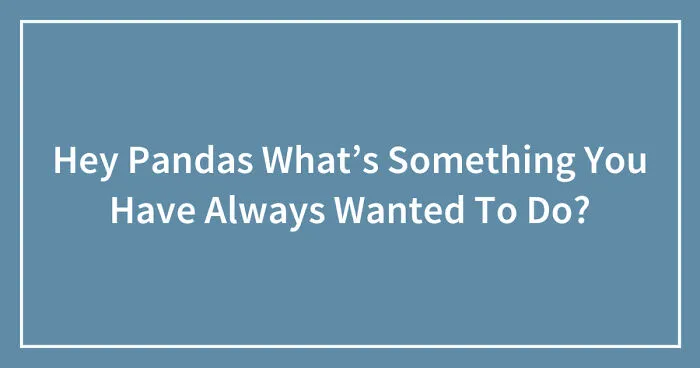 Hey Pandas What’s Something You Have Always Wanted To Do? (Closed)
