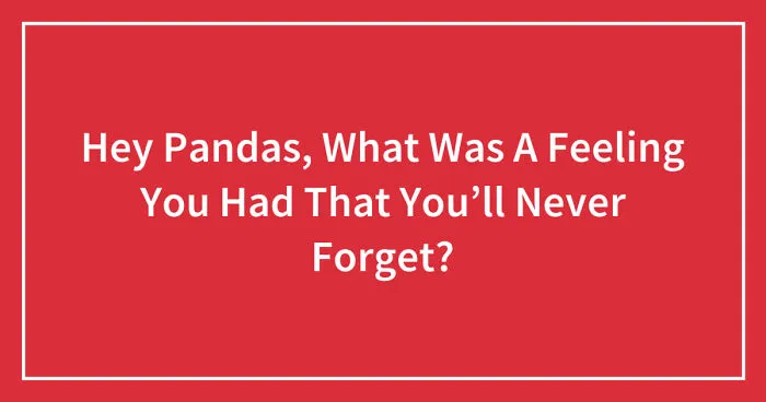 Hey Pandas, What Was A Feeling You Had That You’ll Never Forget? (Closed)