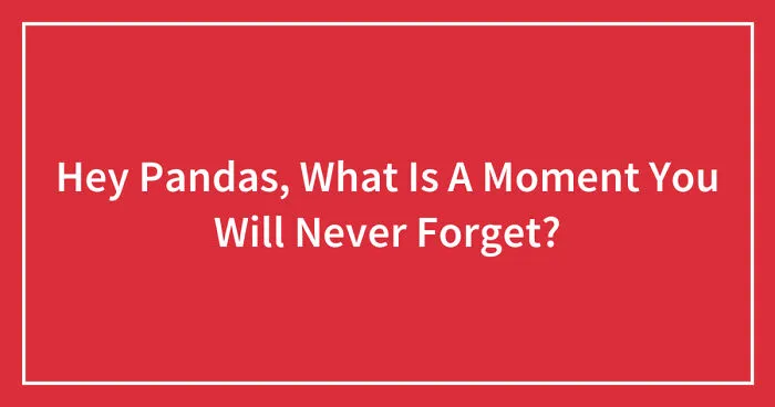 Hey Pandas, What Is A Moment You Will Never Forget? (Closed)