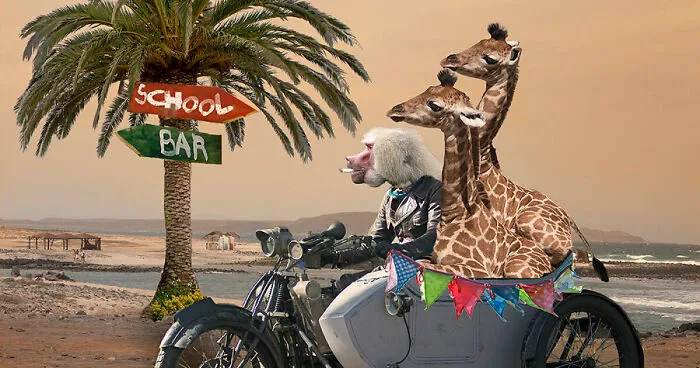 I Create New Worlds From Photos I Have Taken Myself (13 Pics)