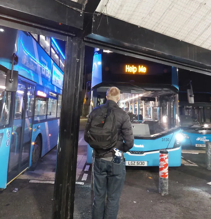 This Bus