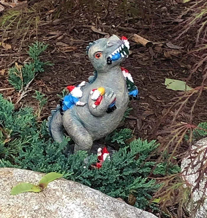 My Wife Hid This In Our Backyard And Waited Days For Me To Discover It