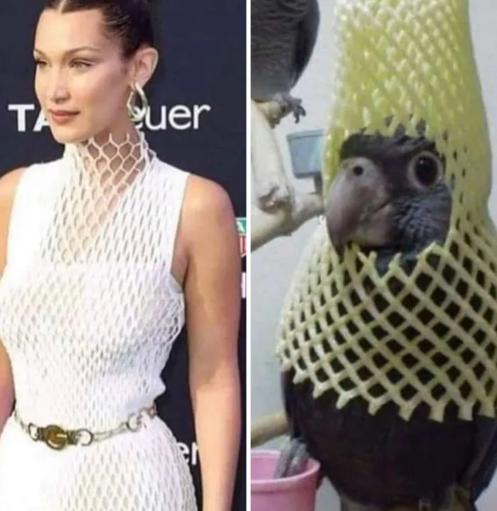 Looks The Same