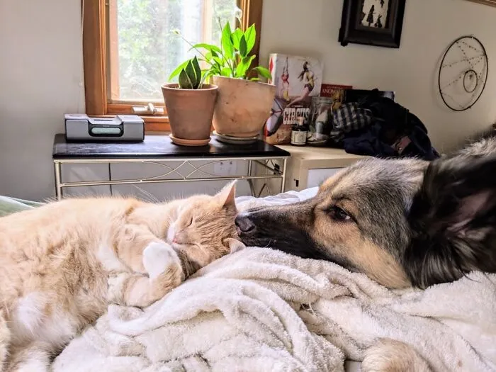 A Small Truce