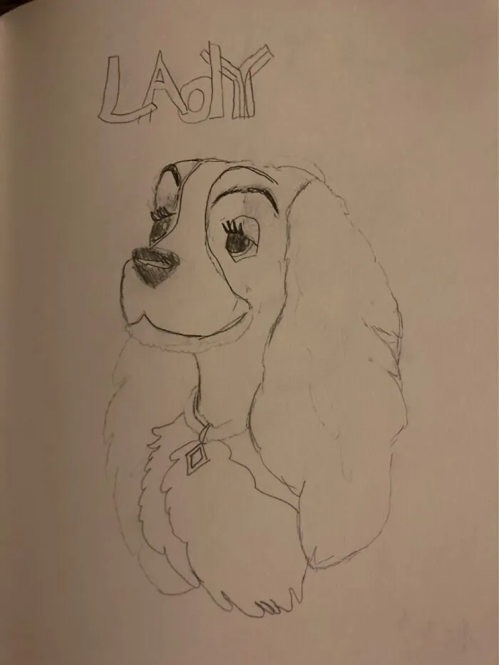 Lady