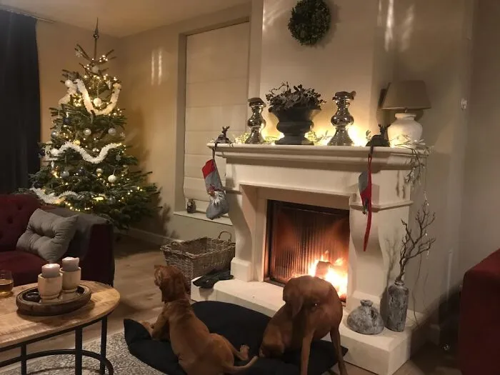 The Fireplace