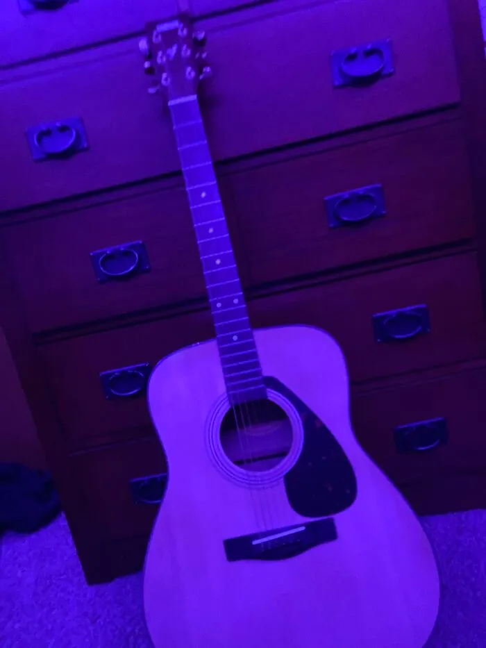 Everyone, Meet Apollo! He’s A Yamaha F335