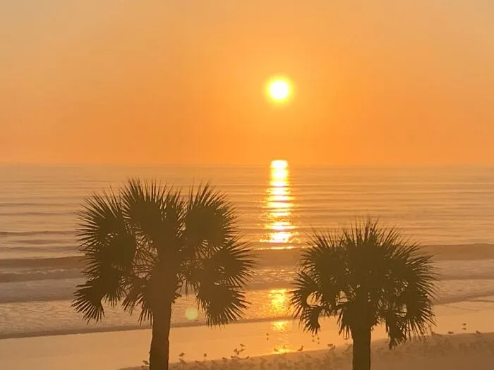 Sunrise In Fl.