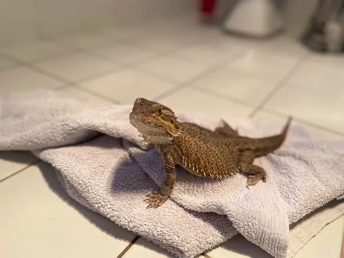 Just Chilling!