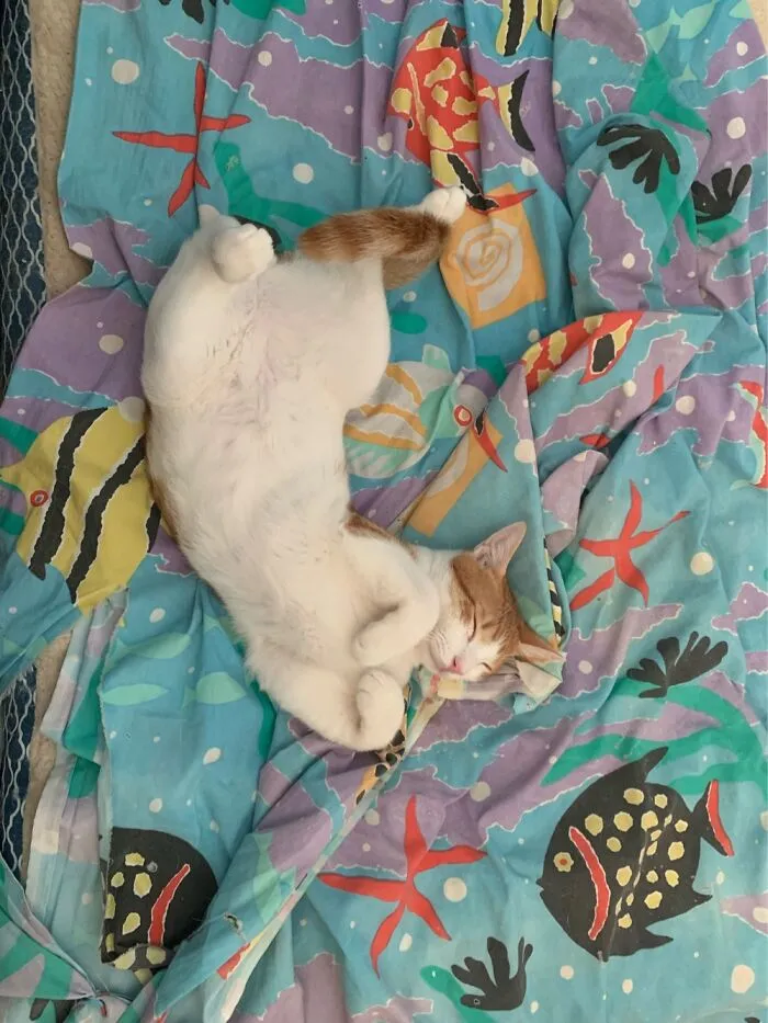 My Little Weirdo