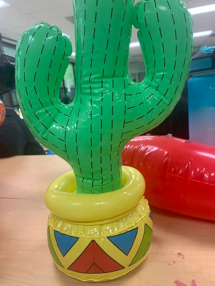 I Got A Box. Just A Box.(No Pic So Here’s A Cactus)