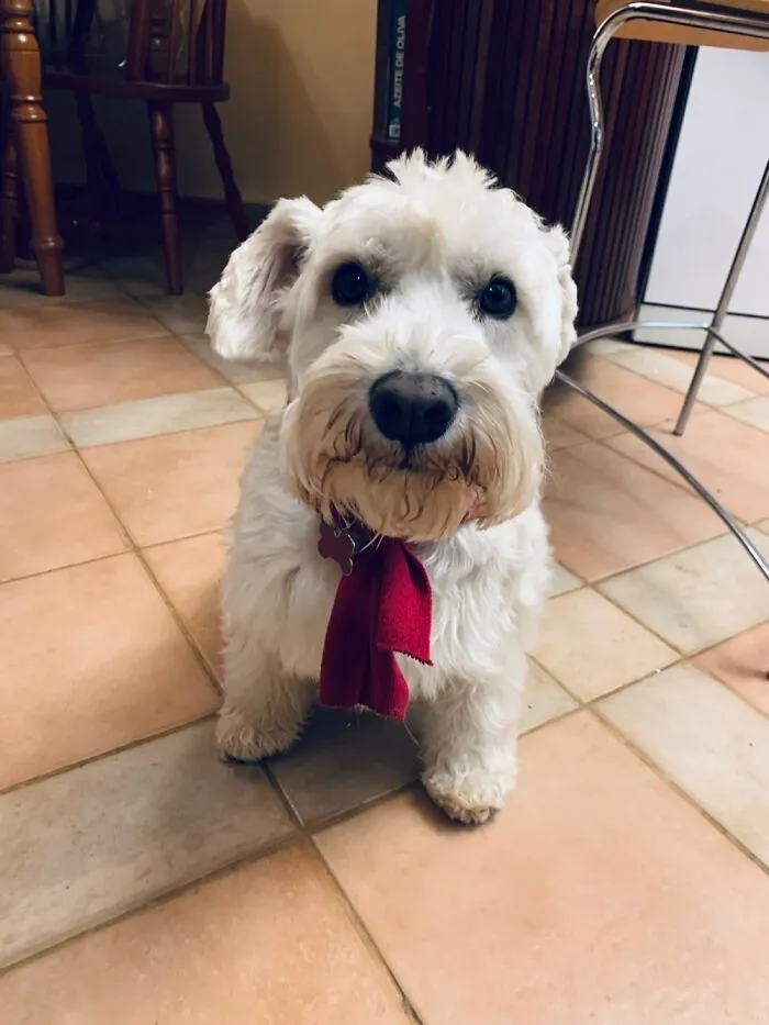 Otto Being Adorable