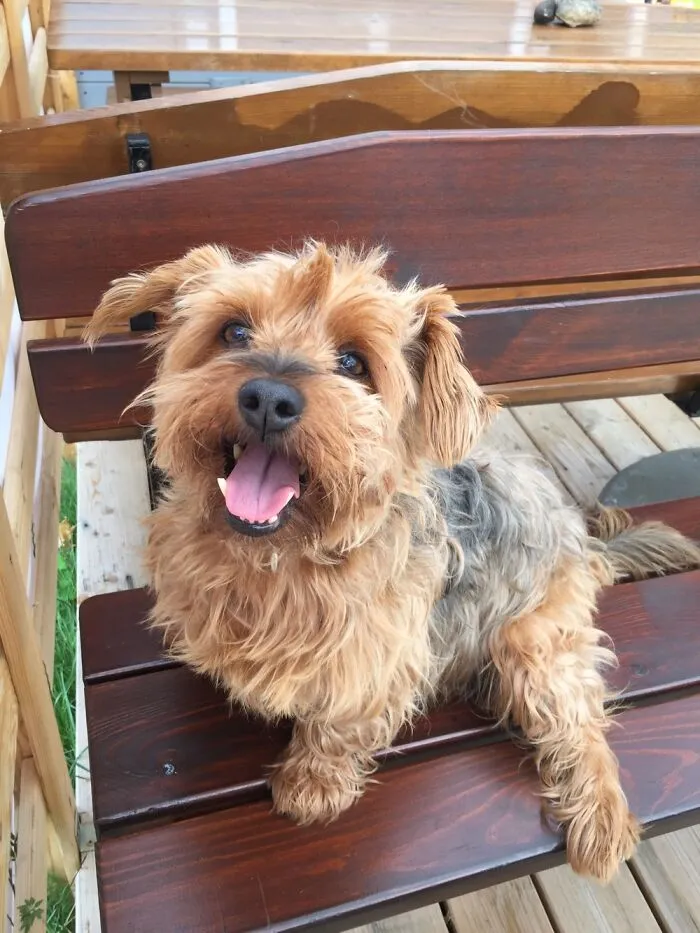 Handsome Senior
