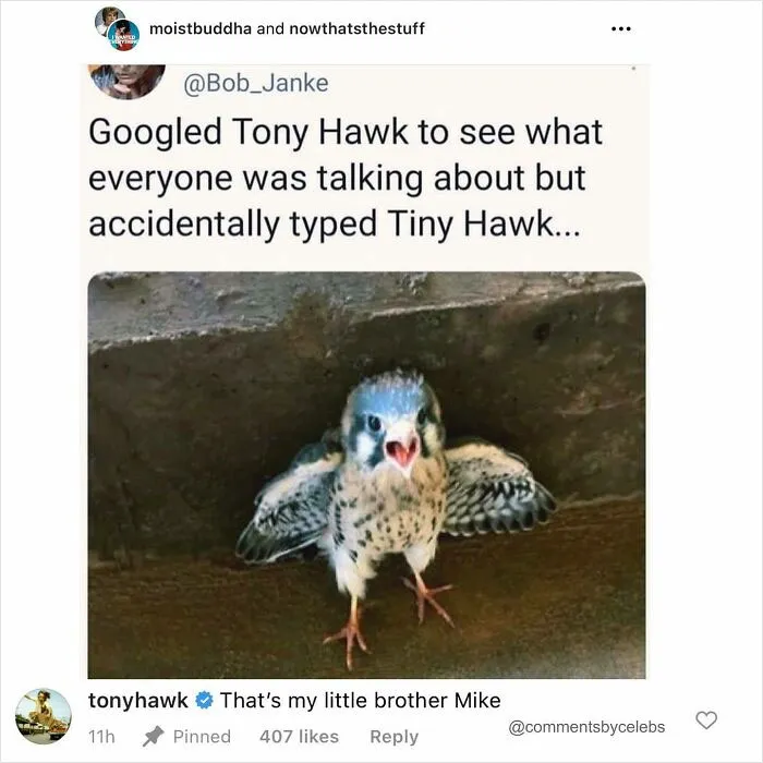 40 Of The Best Comments That Celebrities Have Ever Posted, As Shared On This Instagram Account