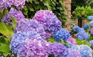 Person Wonders Why Nobody Asks Men What Their Favorite Flowers Are, So This Twitter User Did And Got 35 Colorful Answers