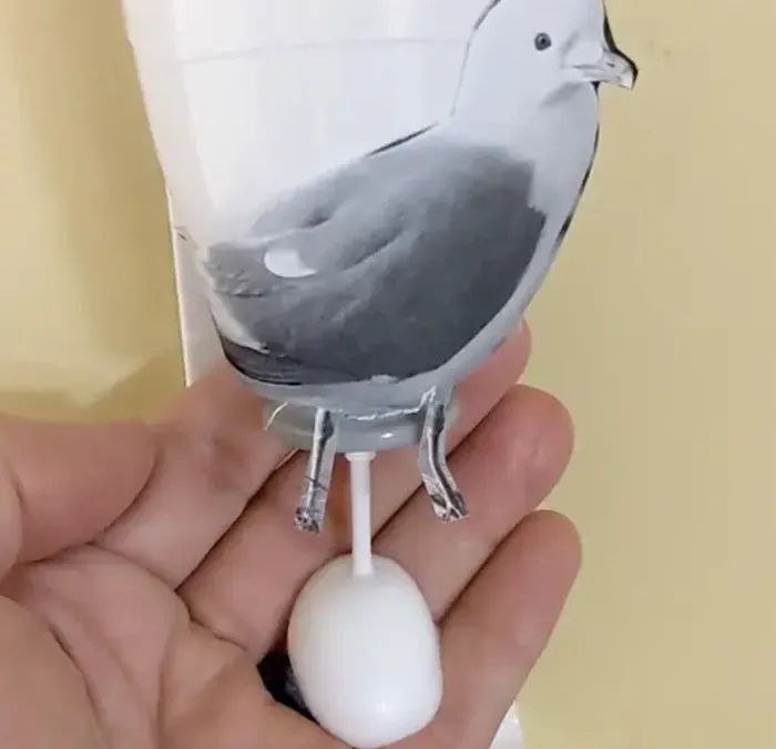 En el trabajo alguien ha puesto una gaviota en el dispensador de gel
