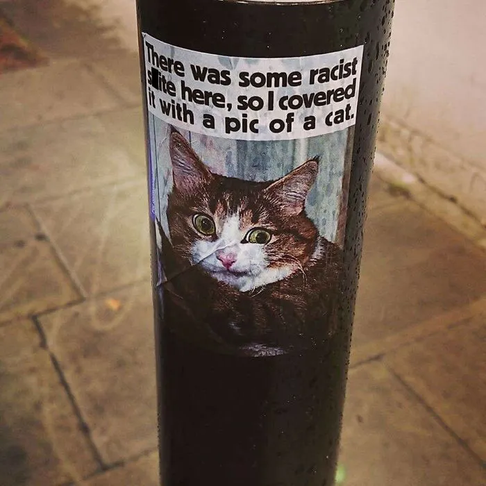 Había una m*erda racista aquí y la he tapado con una foto de un gato