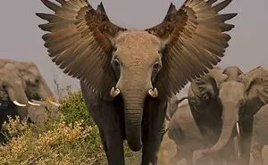 Members Of Online Group Create The Stupidest Animal Hybrids They Can Think Of (40 Pics)