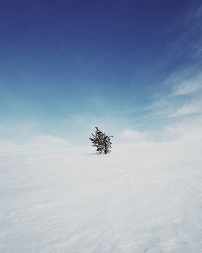 This Reddit Group Is All About Sharing Photos That Amateurs Took, And They Show Just How Good Casual Photographers Are (108 Pics)