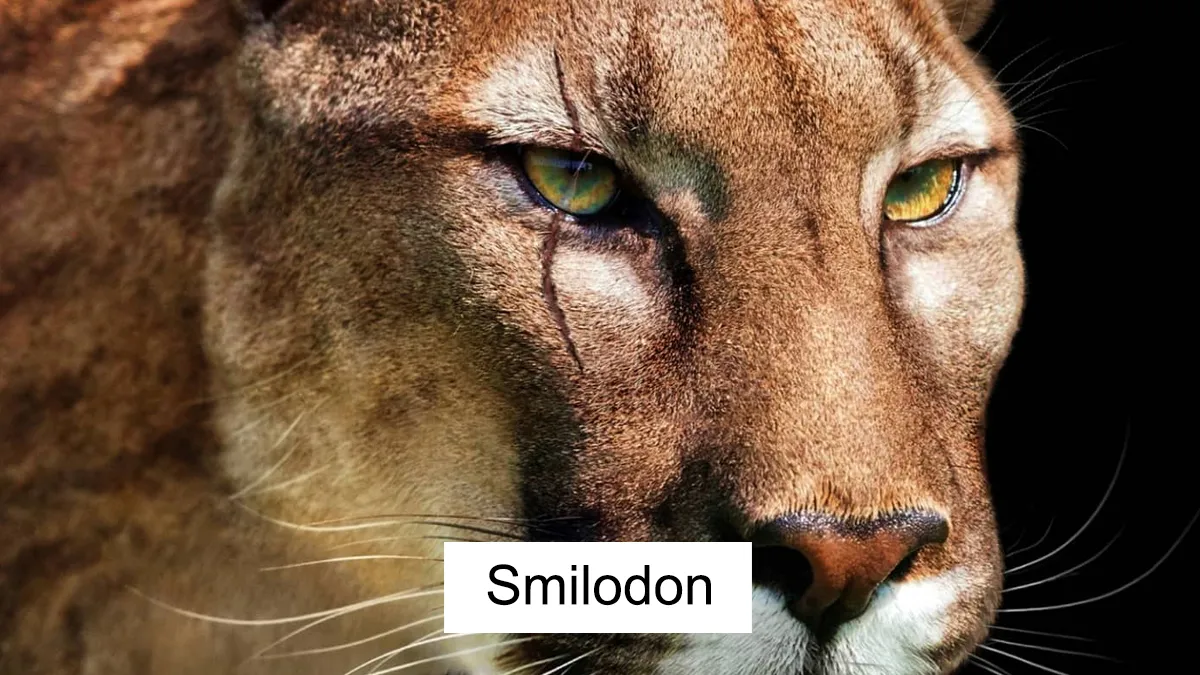 Artist Shows How These Extinct Animals Might’ve Looked In Real Life In His 30 Illustrations
