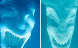 “Ok, I’m Outta Here”: 50 Weird And Oddly Terrifying Photographs