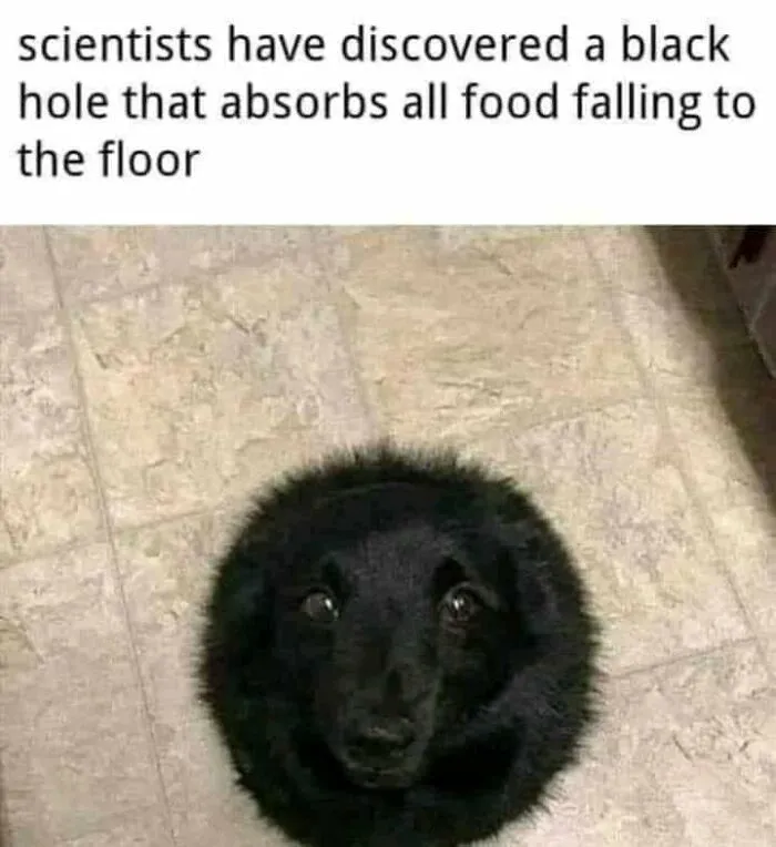 "Science Humour": 50 Funny Posts To Entertain Your Inner Nerd