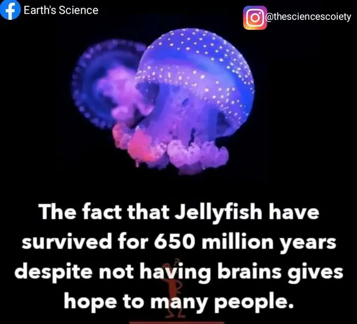 "Science Humour": 50 Funny Posts To Entertain Your Inner Nerd