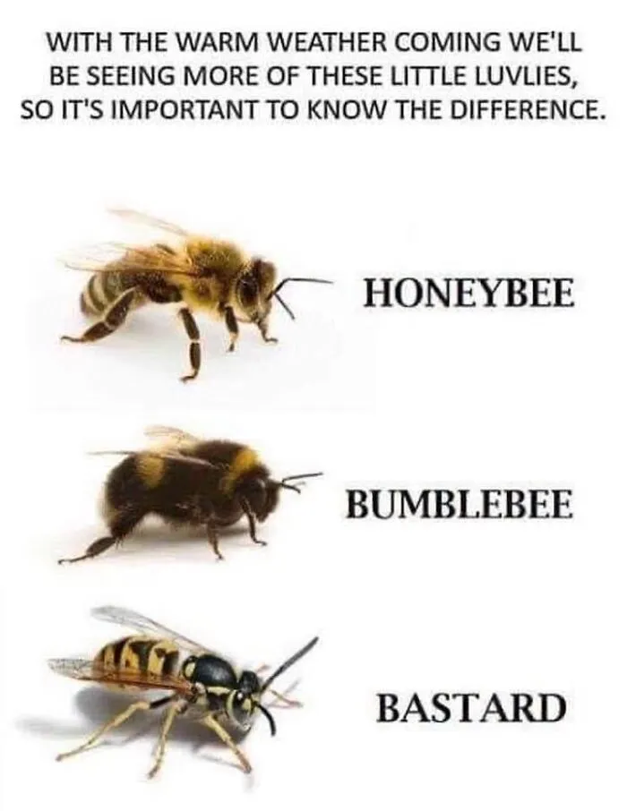 "Science Humour": 50 Funny Posts To Entertain Your Inner Nerd