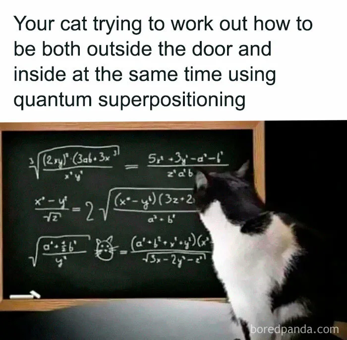"Science Humour": 50 Funny Posts To Entertain Your Inner Nerd