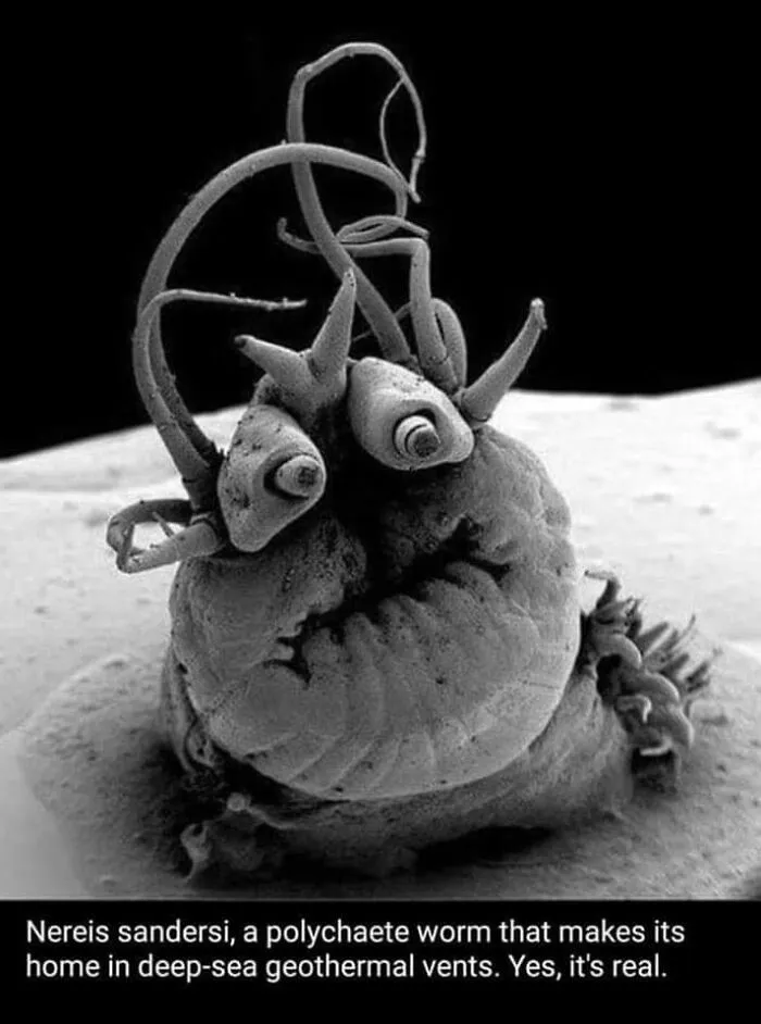 "Science Humour": 50 Funny Posts To Entertain Your Inner Nerd