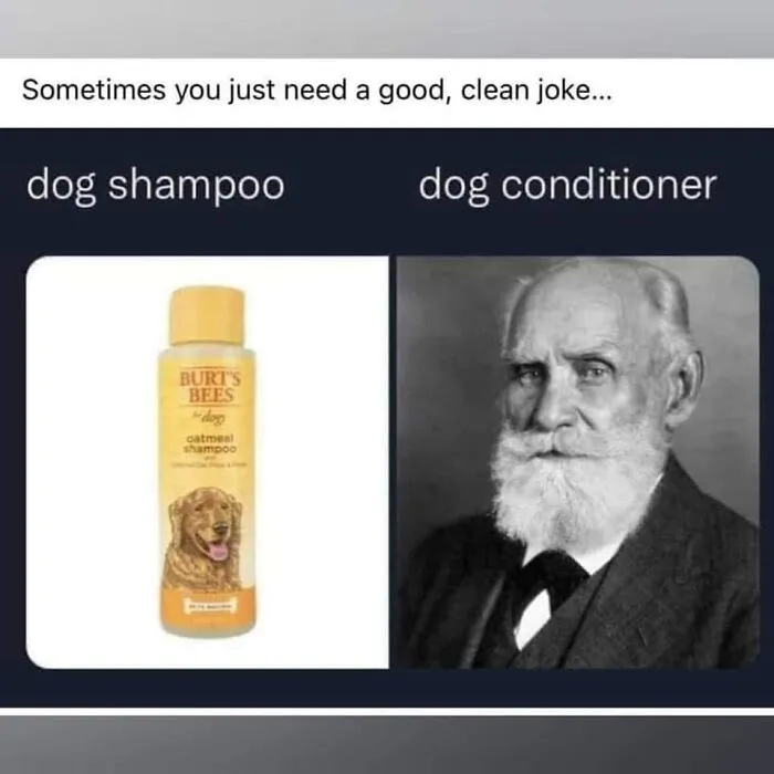 "Science Humour": 50 Funny Posts To Entertain Your Inner Nerd