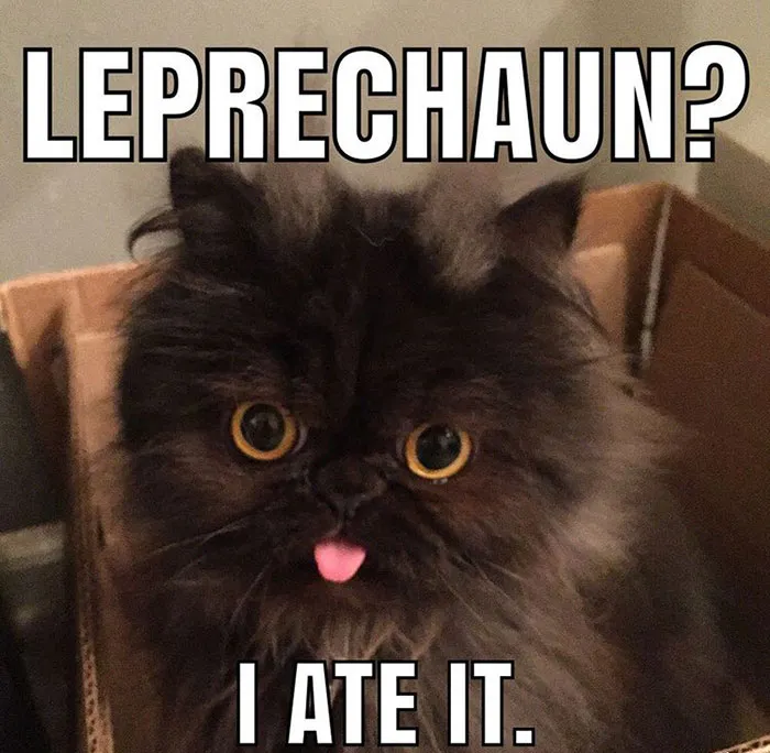 The World Is Celebrating St. Patrick’s Day With Memes And Jokes, So Here Are 30 Of The Most Spot-On Ones