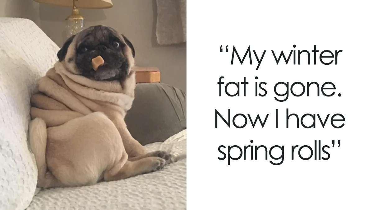 117 Spring Puns That Might Sprout Some Happiness
