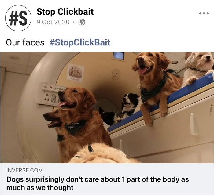 This Facebook Page Reduces Clickbait Articles To A Single Line, And Here Are 35 Times It Did Just That (New Pics)