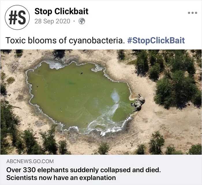 This Facebook Page Reduces Clickbait Articles To A Single Line, And Here Are 35 Times It Did Just That (New Pics)