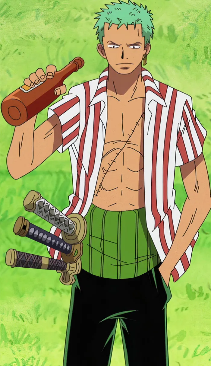 Roronoa Zoro, One Piece