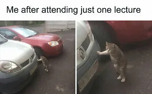 30 Funny And True Memes Students Might Relate To