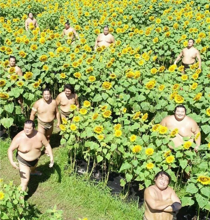 "Japón sin contexto": 37 fotos divertidas y extrañas que demuestran lo singular que es Japón