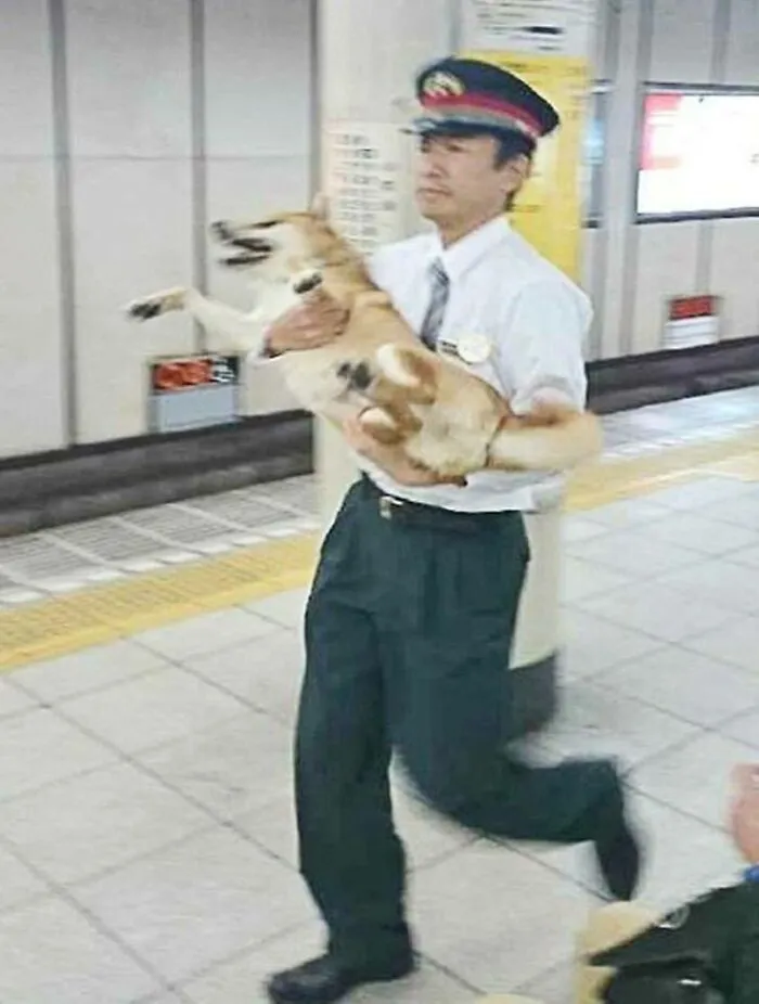 “Japanese Stuff Without Context”: 31 Funny And Weird Pics That Showcase How Unique Japan Really Is
